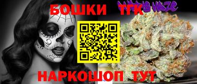 гашик Будённовск