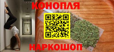 гашик Будённовск